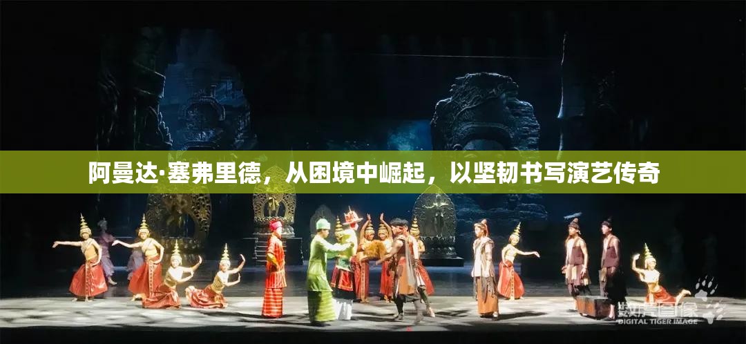 阿曼達·塞弗里德，從困境中崛起，以堅韌書寫演藝傳奇