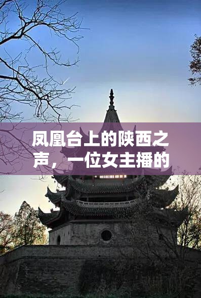 鳳凰臺上的陜西之聲，一位女主播的成長與堅守之旅