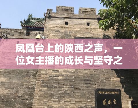鳳凰臺上的陜西之聲，一位女主播的成長與堅守之旅