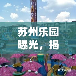 蘇州樂(lè)園曝光，揭秘背后的真實(shí)與夢(mèng)幻
