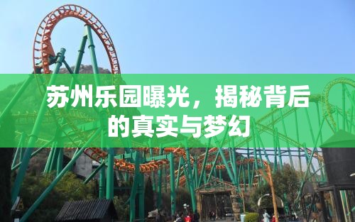 蘇州樂(lè)園曝光，揭秘背后的真實(shí)與夢(mèng)幻