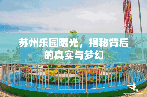 蘇州樂(lè)園曝光，揭秘背后的真實(shí)與夢(mèng)幻