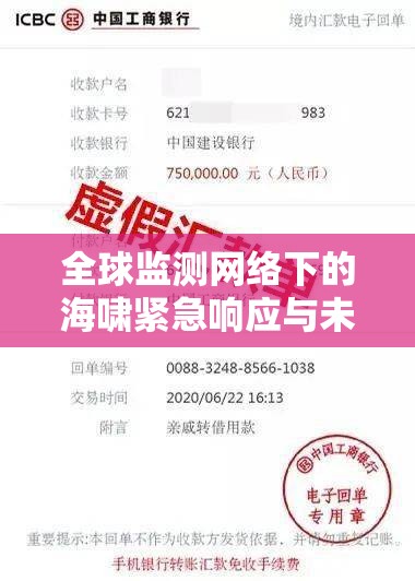 全球監(jiān)測網(wǎng)絡(luò)下的海嘯緊急響應(yīng)與未來展望