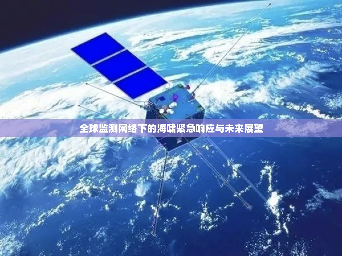 全球監(jiān)測網(wǎng)絡(luò)下的海嘯緊急響應(yīng)與未來展望
