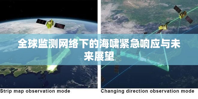 全球監(jiān)測網(wǎng)絡(luò)下的海嘯緊急響應(yīng)與未來展望