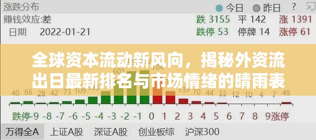 全球資本流動新風(fēng)向，揭秘外資流出日最新排名與市場情緒的晴雨表