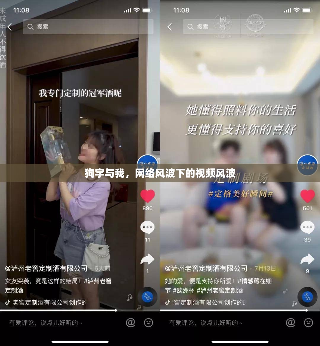 狗字與我，網(wǎng)絡(luò)風(fēng)波下的視頻風(fēng)波