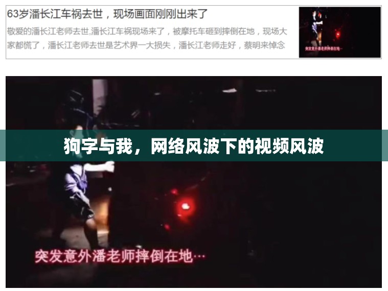 狗字與我，網(wǎng)絡(luò)風(fēng)波下的視頻風(fēng)波