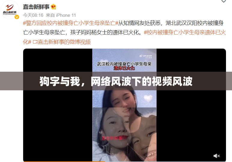 狗字與我，網(wǎng)絡(luò)風(fēng)波下的視頻風(fēng)波