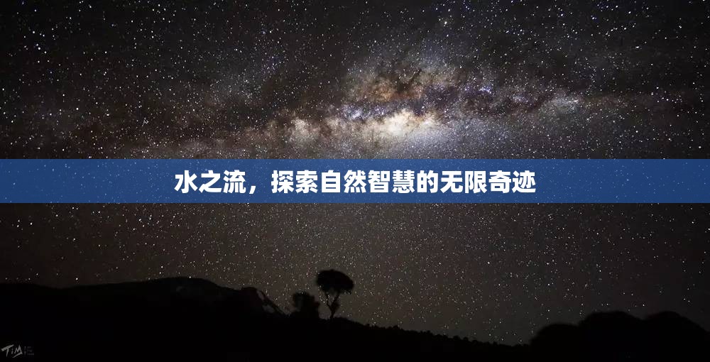 水之流，探索自然智慧的無限奇跡