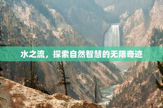 水之流，探索自然智慧的無限奇跡