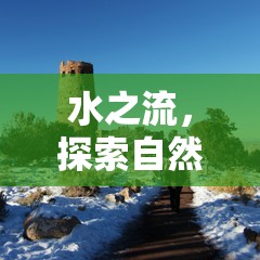 水之流，探索自然智慧的無限奇跡