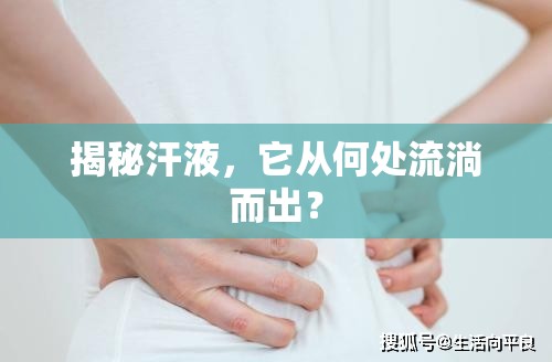 揭秘汗液，它從何處流淌而出？