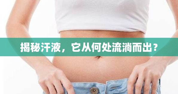 揭秘汗液，它從何處流淌而出？