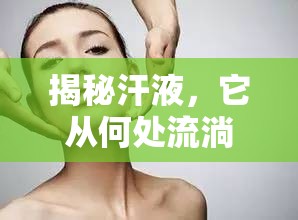 揭秘汗液，它從何處流淌而出？