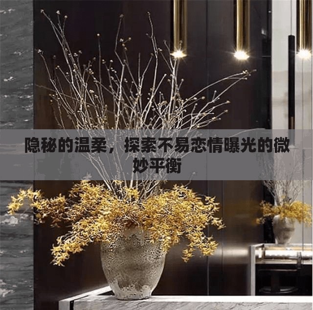 隱秘的溫柔，探索不易戀情曝光的微妙平衡