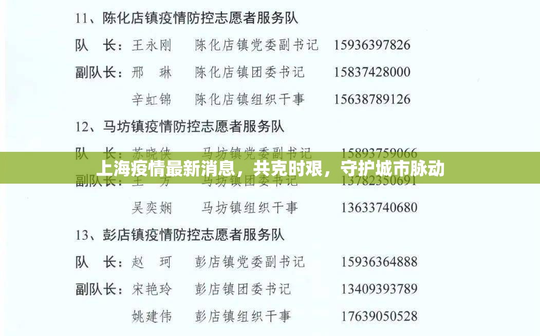 上海疫情最新消息，共克時(shí)艱，守護(hù)城市脈動(dòng)