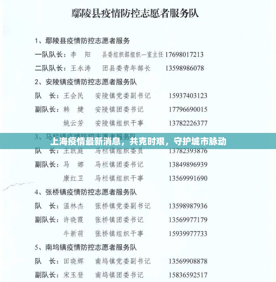 上海疫情最新消息，共克時(shí)艱，守護(hù)城市脈動(dòng)