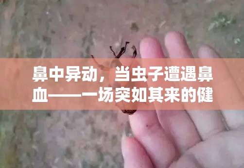 鼻中異動(dòng)，當(dāng)蟲子遭遇鼻血——一場(chǎng)突如其來的健康驚魂