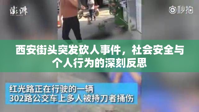 西安街頭突發(fā)砍人事件，社會(huì)安全與個(gè)人行為的深刻反思