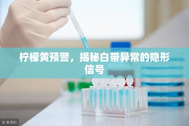 檸檬黃預(yù)警，揭秘白帶異常的隱形信號(hào)