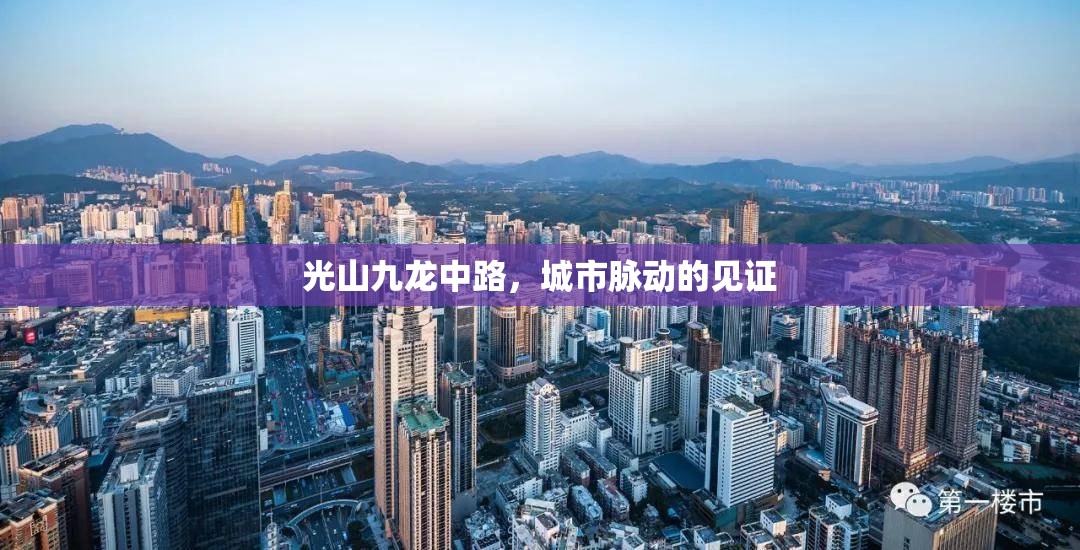 光山九龍中路，城市脈動的見證