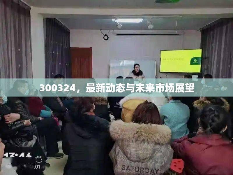 300324，最新動(dòng)態(tài)與未來(lái)市場(chǎng)展望
