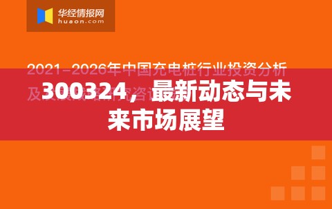 300324，最新動(dòng)態(tài)與未來(lái)市場(chǎng)展望