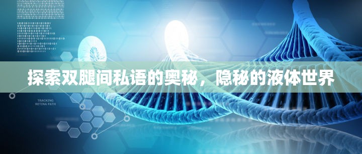 探索雙腿間私語的奧秘，隱秘的液體世界