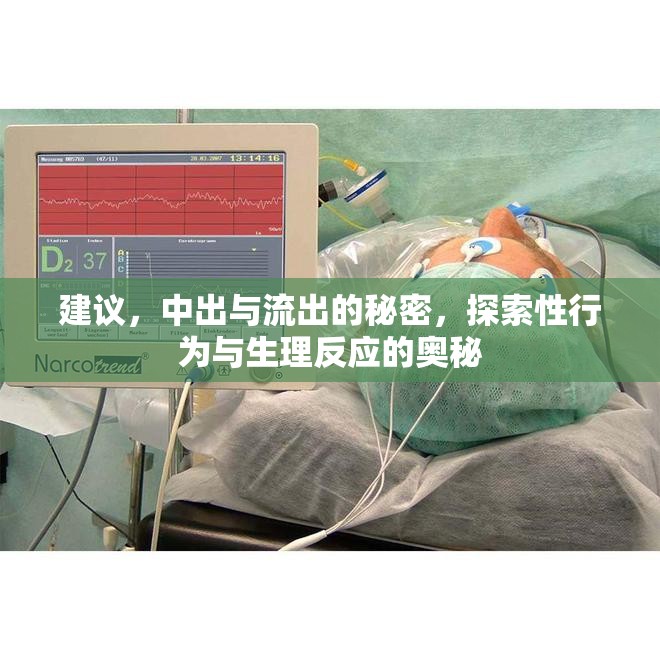 建議，中出與流出的秘密，探索性行為與生理反應的奧秘