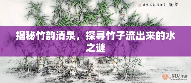 揭秘竹韻清泉，探尋竹子流出來的水之謎