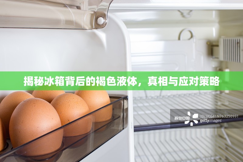 揭秘冰箱背后的褐色液體，真相與應(yīng)對(duì)策略