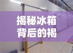 揭秘冰箱背后的褐色液體，真相與應(yīng)對(duì)策略