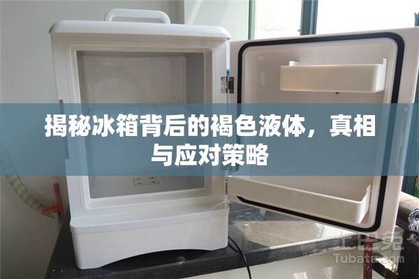 揭秘冰箱背后的褐色液體，真相與應(yīng)對(duì)策略