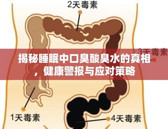 揭秘睡眠中口臭酸臭水的真相，健康警報與應(yīng)對策略