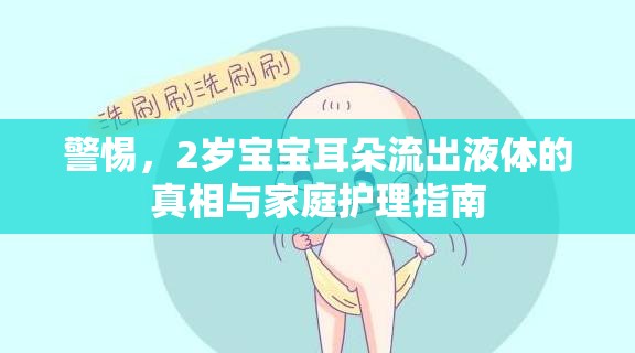 警惕，2歲寶寶耳朵流出液體的真相與家庭護(hù)理指南