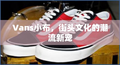 Vans小布，街頭文化的潮流新寵