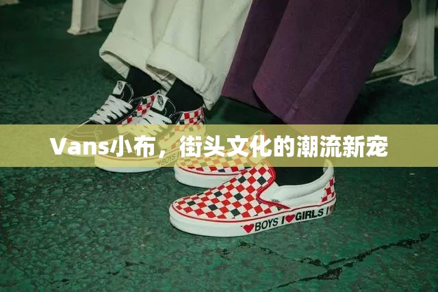 Vans小布，街頭文化的潮流新寵