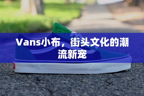 Vans小布，街頭文化的潮流新寵