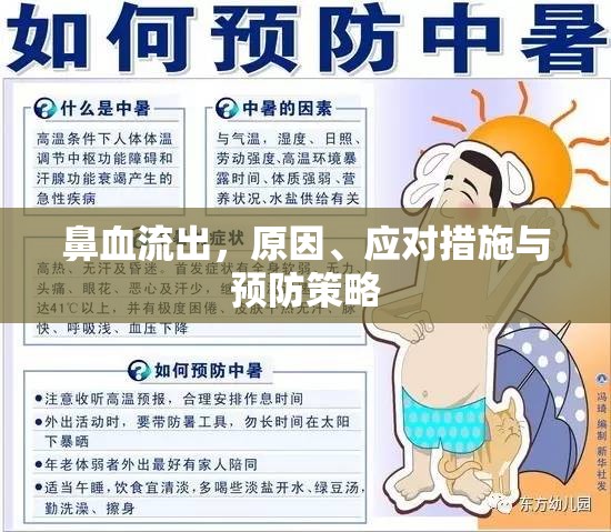 鼻血流出，原因、應(yīng)對措施與預(yù)防策略
