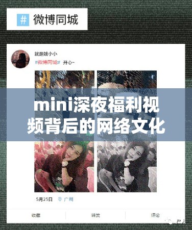 mini深夜福利視頻背后的網(wǎng)絡(luò)文化現(xiàn)象探析