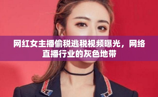 網(wǎng)紅女主播偷稅逃稅視頻曝光，網(wǎng)絡(luò)直播行業(yè)的灰色地帶