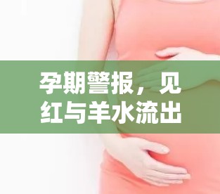 孕期警報(bào)，見(jiàn)紅與羊水流出信號(hào)的深度解析