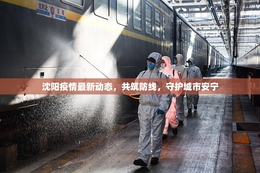 沈陽疫情最新動(dòng)態(tài)，共筑防線，守護(hù)城市安寧