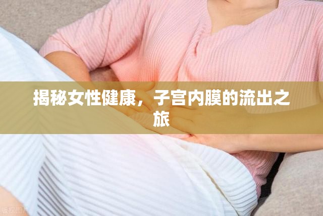 揭秘女性健康，子宮內(nèi)膜的流出之旅