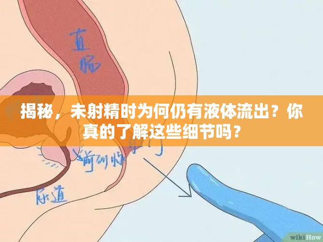 揭秘，未射精時為何仍有液體流出？你真的了解這些細(xì)節(jié)嗎？