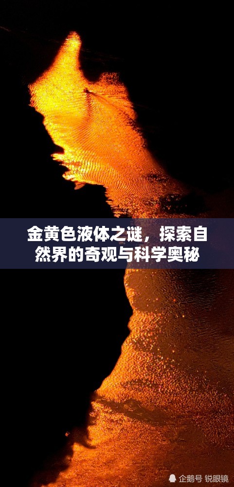 金黃色液體之謎，探索自然界的奇觀與科學(xué)奧秘