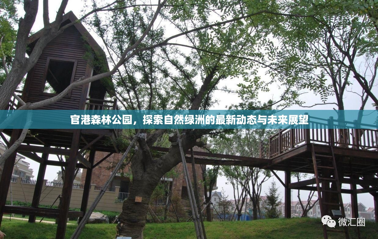 官港森林公園，探索自然綠洲的最新動態(tài)與未來展望