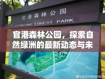 官港森林公園，探索自然綠洲的最新動態(tài)與未來展望