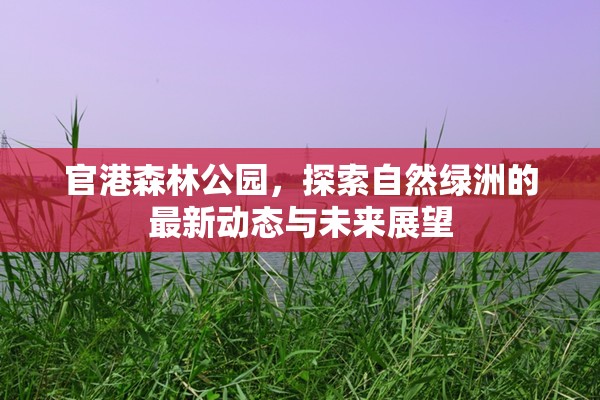 官港森林公園，探索自然綠洲的最新動態(tài)與未來展望